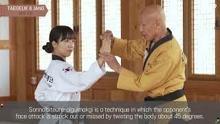 Taegeuk 6 Poomsae explanation  Taekwondo Promotion Foundation Educational Program [upl. by Assirahs68]