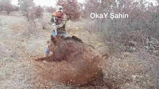 Azılı domuz avcıya saldırıyorWildboar Hunting [upl. by Uund825]