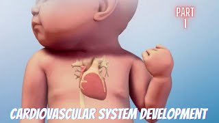 How cardiovascular system develops in our body Part 1 [upl. by Atul]