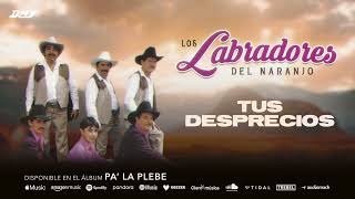 Los Labradores Del Naranjo  Tus Desprecios Audio Oficial [upl. by Adav]