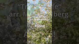 quotTree of Lifequot Watch Now tabchoir [upl. by Kcorb]