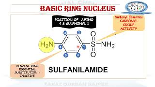 SAR of Sulfonamides  Sulfanilamide  Medicinal Chemistry [upl. by Thordia]