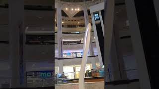 Oasis Mall Dubai Dubi viralvideo views viralshorts [upl. by Canica]