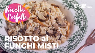 RISOTTO ai FUNGHI MISTI🍄🍂 RISULTATO CREMOSO e SAPORITO😍 [upl. by Kopaz]