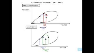 physiologie cardio vasculaire partie 8 [upl. by Leroi223]