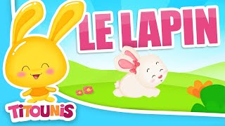 Lapin hop hop hop 🐰 Chansons et comptines  BB LouLou [upl. by Alderson]