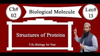 Biology Ch02Lecture13 Structures of proteins FSc 1st Year [upl. by Zaccaria516]