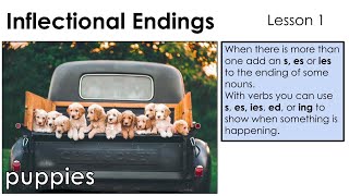 Inflected Endings s es ies  Lesson 1 [upl. by Lynnette385]