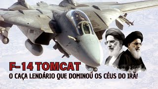 F14 TOMCAT Um ÇAÇA LENDÁRIO ainda em AÇÃO no IRÃ [upl. by Okram]