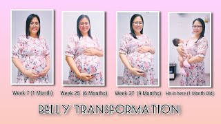 Pregnancy Transformation  Week By Week  My Second Pregnancy Journey [upl. by Tay]