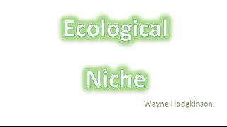 Ecological niche  fundamental amp realised [upl. by Hsekar]