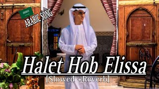 Halet Hob  Elissa  – کلمات حالۃ حب  الیسا Full Song 🎧 SlowedReverb [upl. by Cox363]