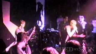 Section 8  Live in Albany at the QE2 1996  Full Set [upl. by Urbain591]