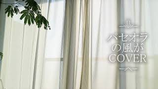 矢沢永吉 『YOUTOO COOL』より バラード曲「パセオラの風が」 COVER [upl. by Rodama]