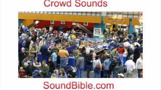 Crowd Sounds SoundBible [upl. by Nolitta629]