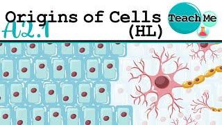 A21  Origins Of Cells  IB Biology HL [upl. by Davidoff]