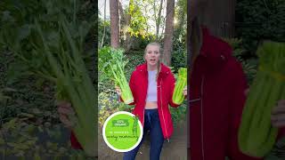 30 Day Celery Juice Cleanse and Detox Part 1 [upl. by Eras]