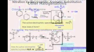 Halogenation Nitration and Sulfonation [upl. by Ahsertal]