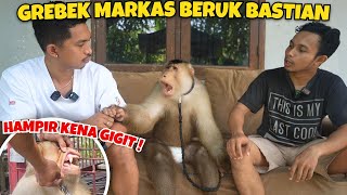 GREBEK MARKAS BASTIAN ‼️ BERUK SUPER PINTAR [upl. by Marion278]