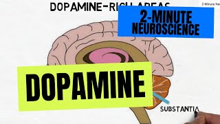 2Minute Neuroscience Dopamine [upl. by Petras754]