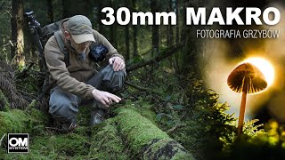 30mm MAKRO  Fotografia Grzybów  Dzika Irlandia  OM System [upl. by Fenny]