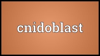 Cnidoblast Meaning [upl. by Wilmott]