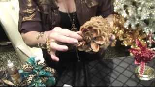 How to DIY Pinecone Christmas Ornaments by Donna Moss Donna Decorates Dallas [upl. by Airdnazxela]