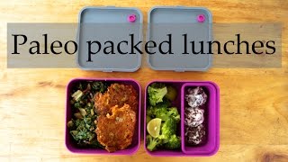 Three Paleo  HFLC packed lunch ideas [upl. by Leonhard658]