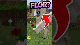 ¿Por qué IRON GOLEM da FLORES minecraft [upl. by Mastrianni389]