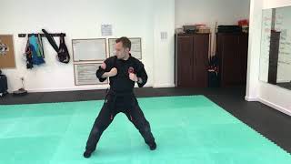 White Belt Kempo 1 Short  Shaolin Kempo  Martial Arts Techniques [upl. by Alecia]