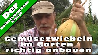 Gemüsezwiebeln im Garten richtig anbauen [upl. by Suellen]