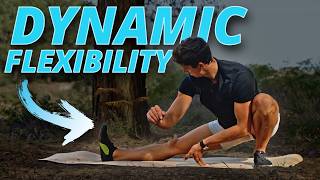 30 Minute Dynamic Flexibility Routine FOLLOW ALONG [upl. by Ellsworth]