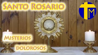 Santo Rosario María con nosotros Misterios Dolorosos martes y viernes Ante el Santísimo [upl. by Hulbard]