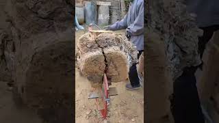 Wood splitting ax wood splitting method 18 [upl. by Barker]