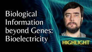 Biological Information beyond Genes Bioelectricity  Michael Levin [upl. by Ilysa]