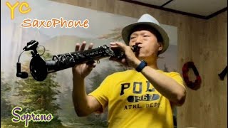 潘秀瓊 小小羊兒要回家 F調高音薩克斯風 Cover by Soprano Saxophone [upl. by Dnalevelc217]