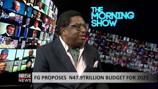 Proposed N479 Trillion 2025 Budget Nigeria is in An Economic Quagmire  Adebajo [upl. by Anaugahs]