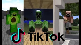 Avocados From Mexico 🥑⛏ Minecraft TIK TOK Compilation [upl. by Cornish972]