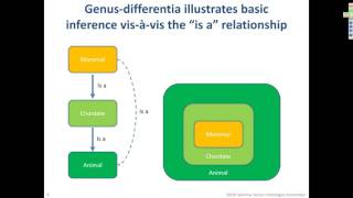 Ontologies [upl. by Branch]