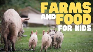 Farms and Food for Kids  Learn how food comes from a farm to your table [upl. by Beaulieu105]