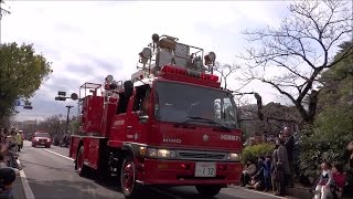 2016 小田原市 消防出初式 車両分列行進 [upl. by Oterol197]