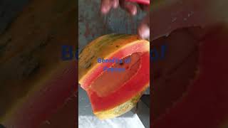 Benefits of papaya tamilspeech papaya health healthyfood [upl. by Fachanan]