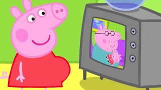 Baby Peppa is on TV  Cartoons for Kids  Mini Movie  Peppa Pig Tales [upl. by Ardnalahs]