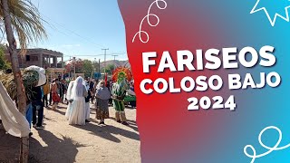 FARISEOS DEL COLOSO BAJO DOMINGO DE RAMO 2024 [upl. by Ciri]