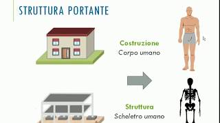 Abitazione  Struttura portante  Classi 2 [upl. by Arit]