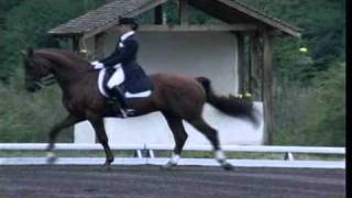 Galop 6 dressage et preparation [upl. by Ayitahs67]