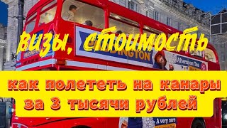 Статистика получения виз Форум Винского  Как дешево за 23 тыс рублей летать по Европе [upl. by Polad624]