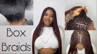 TRENDY BOX BRAIDS  WITH SQUARE PARTING  BEAUTIFUL SMALL BOX BRAIDS [upl. by Maillij624]