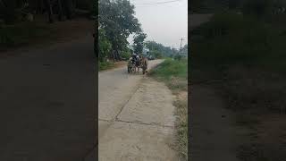 Saharsh amp sadhwin ride cow vehicle [upl. by Busby]