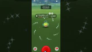 Caught a Shundo Sewaddle in Pokemon Go Community Day shorts pokemongo pokemongocommunityday [upl. by Hurleigh]